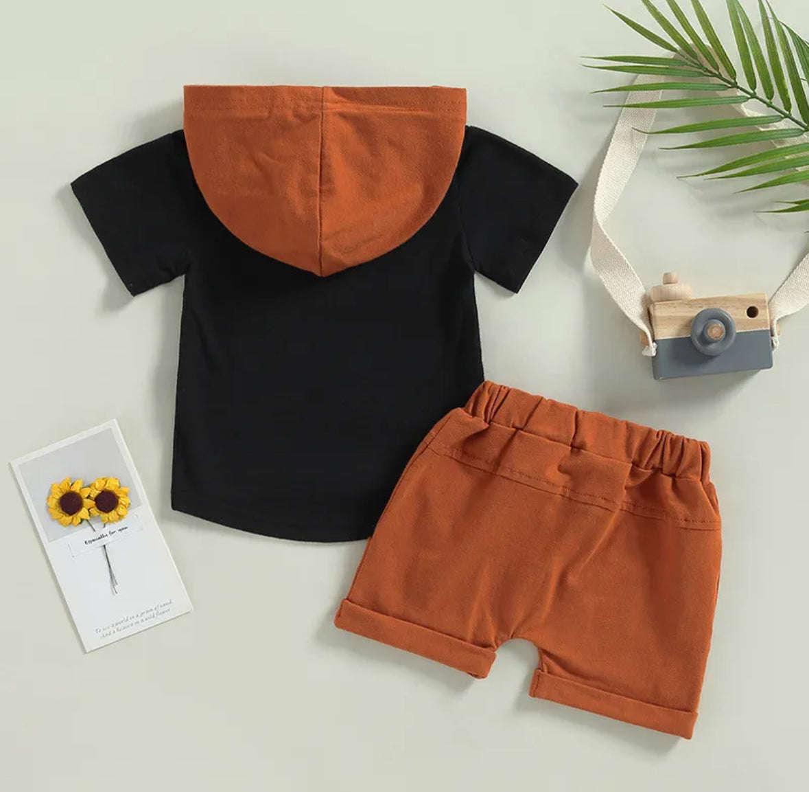 Boys Fashion Two Piece Set